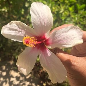 Welcome to my shop!!!